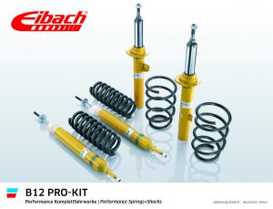 EIBACH B12 Pro-Kit